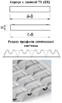 �������. �����